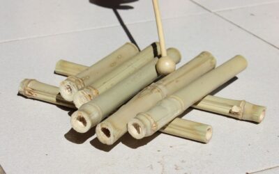 Bambú .::. Casita de Insectos