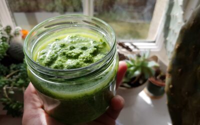 Salsa verde: pesto de plantas comestibles